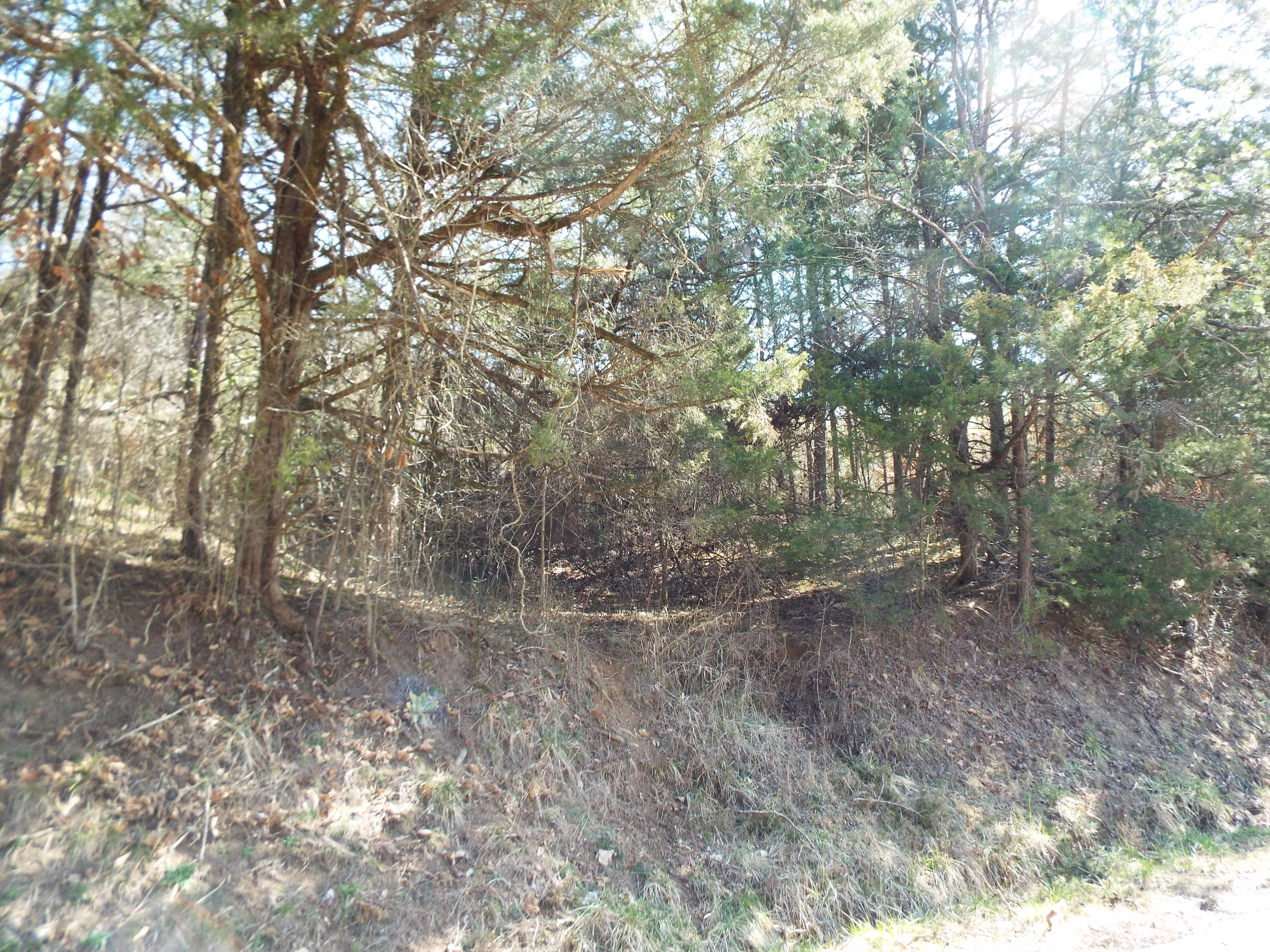 Clearwood Road Newport, TN 37821 - Photo 3 of 11 DSCF6235