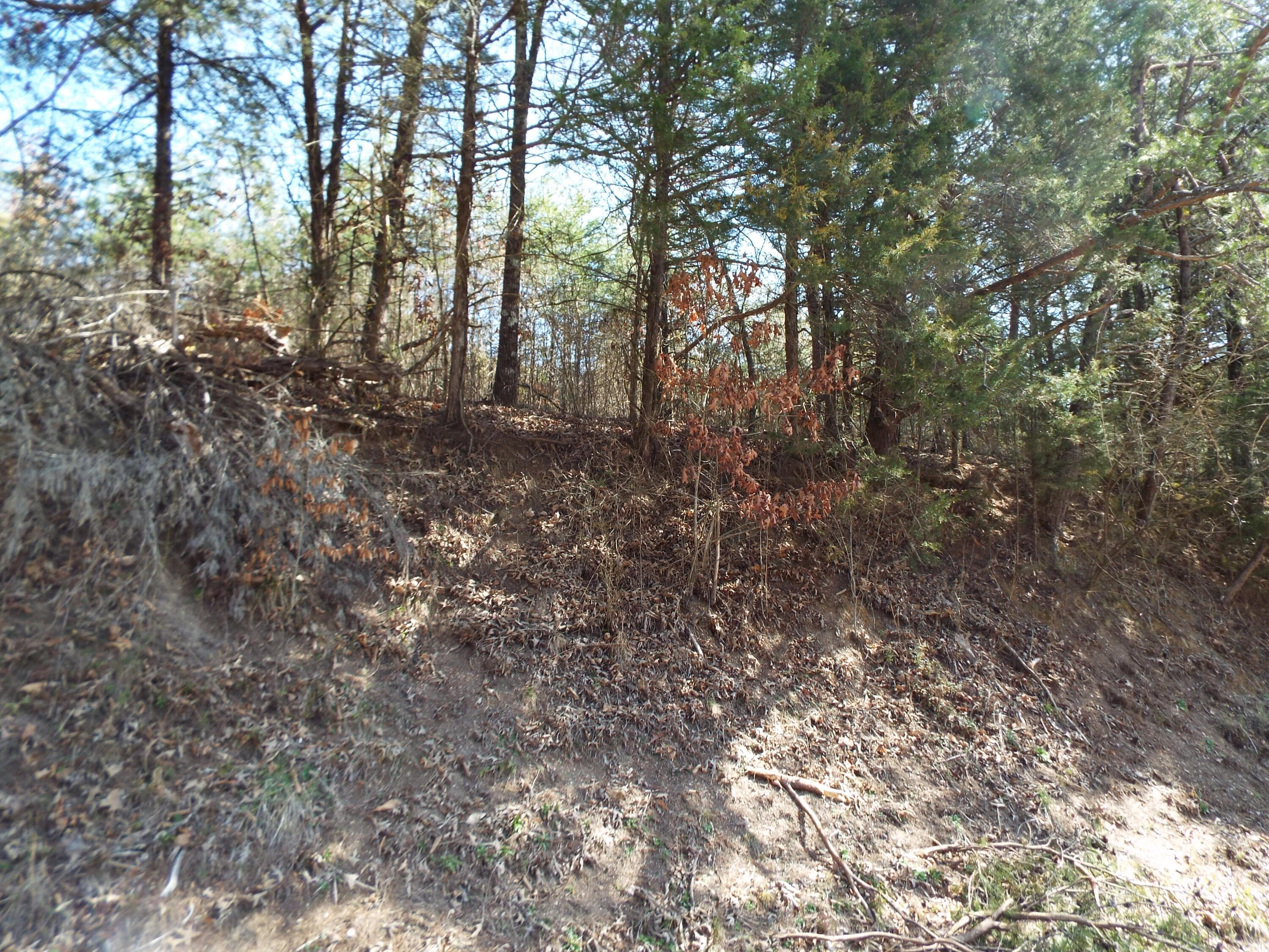 Clearwood Road Newport, TN 37821 - Photo 4 of 11 DSCF6237