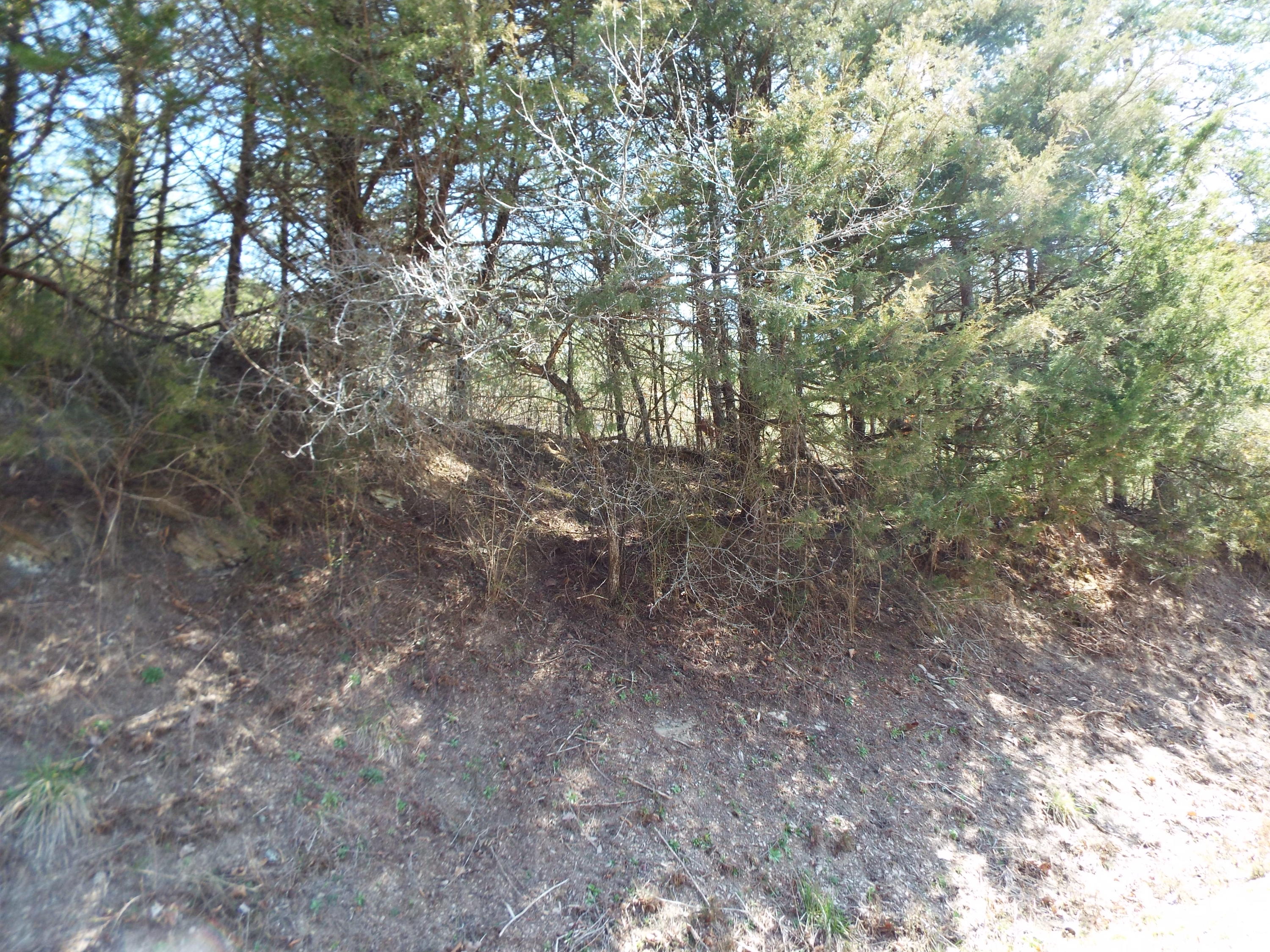 Clearwood Road Newport, TN 37821 - Photo 5 of 11 DSCF6239