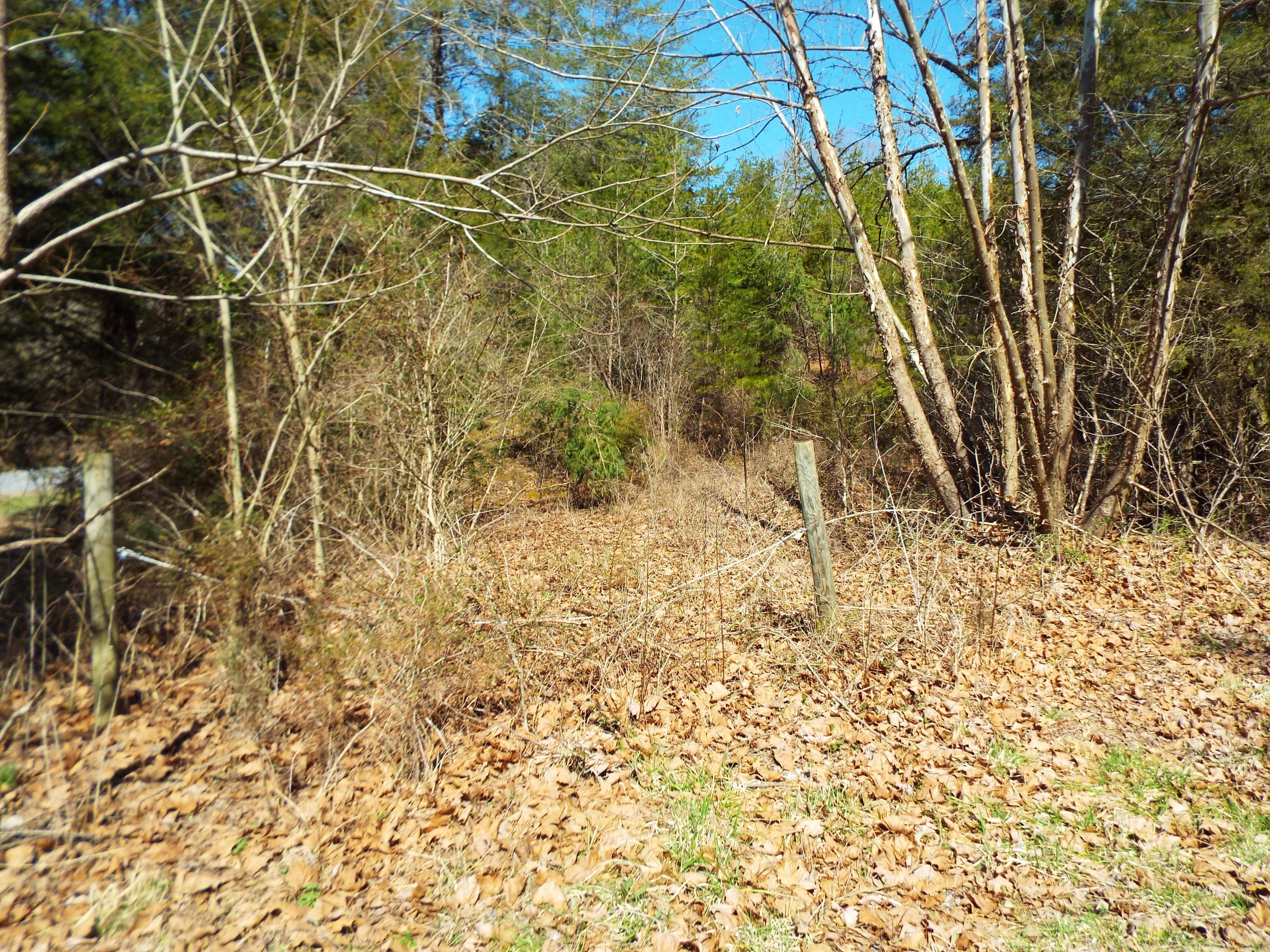 Clearwood Road Newport, TN 37821 - Photo 6 of 11 DSCF6222
