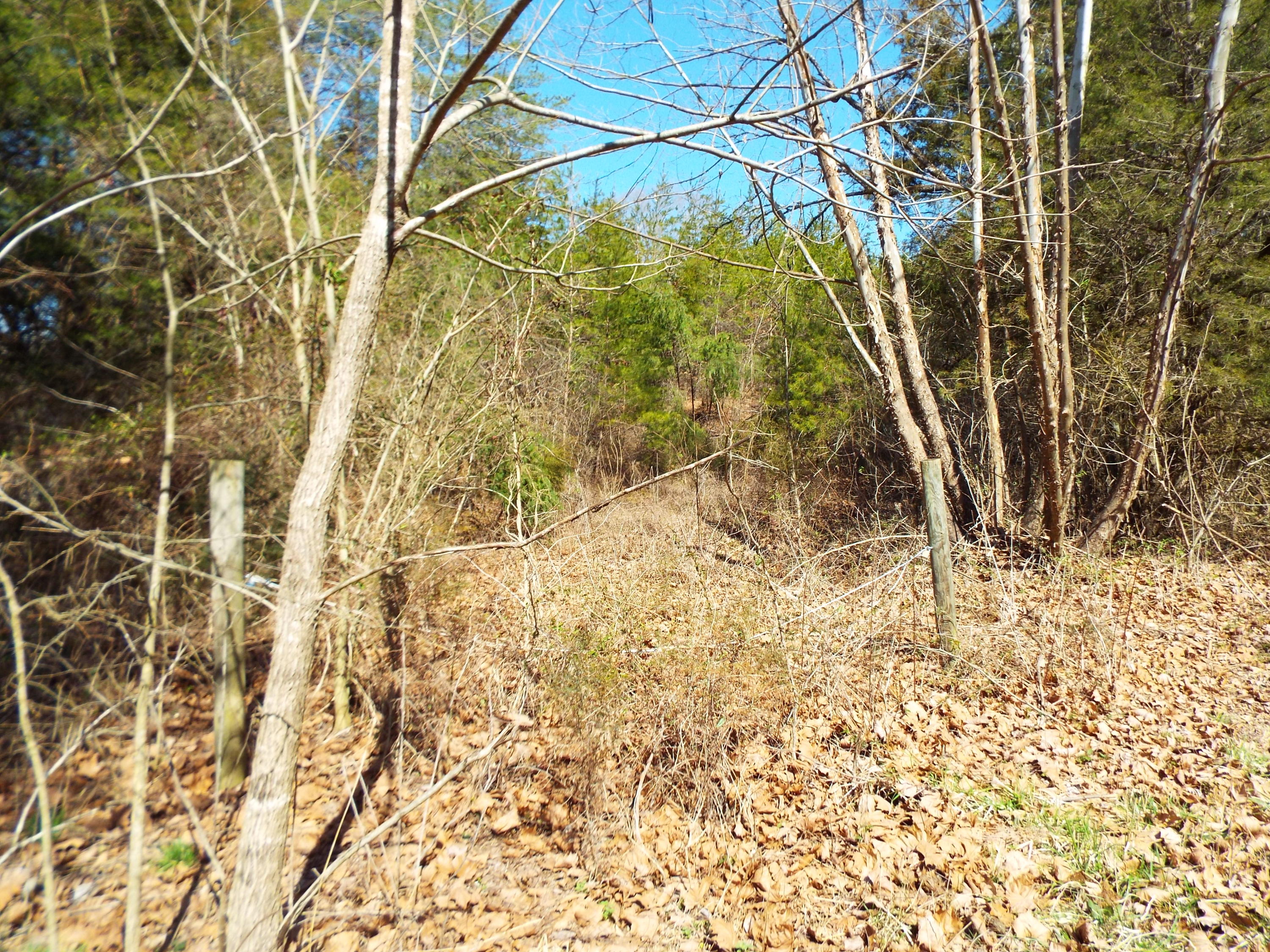 Clearwood Road Newport, TN 37821 - Photo 7 of 11 DSCF6223