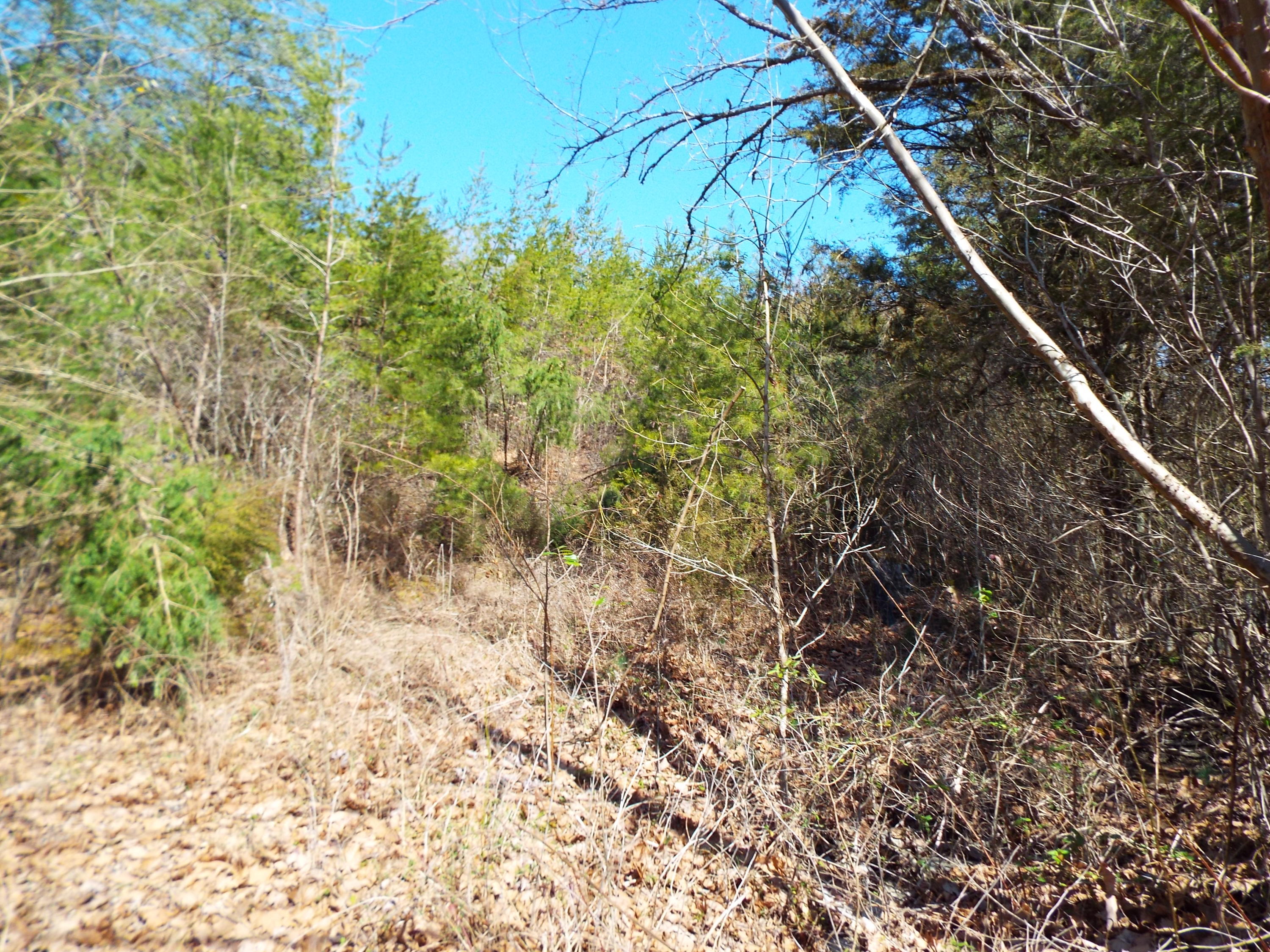 Clearwood Road Newport, TN 37821 - Photo 9 of 11 DSCF6225