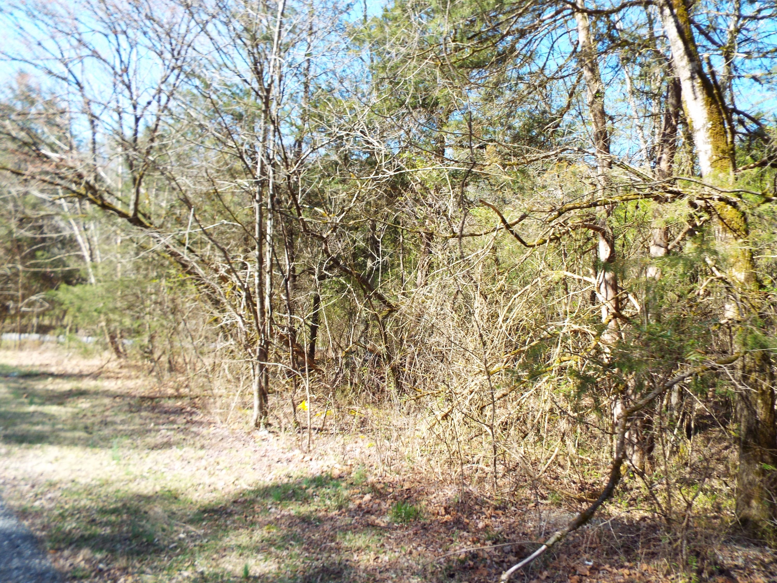 Clearwood Road Newport, TN 37821 - Photo 10 of 11 DSCF6220