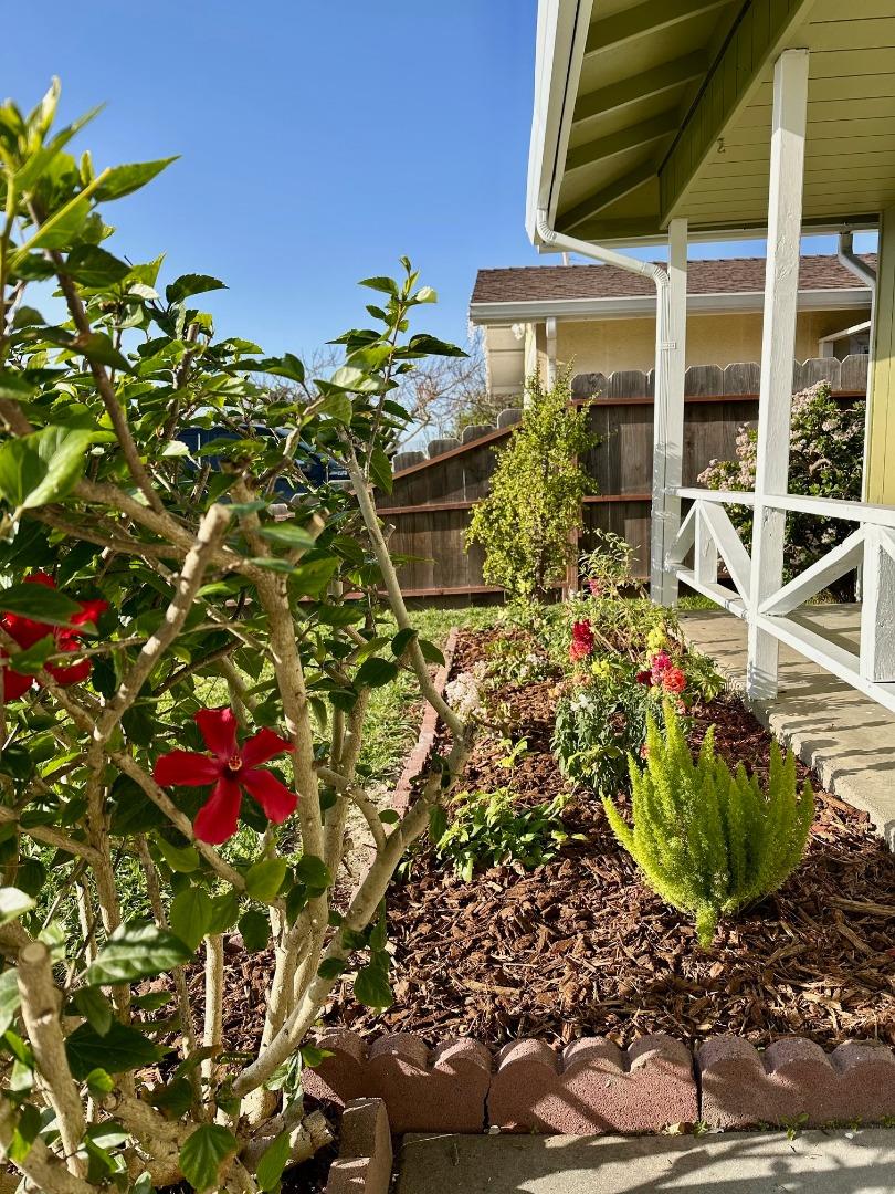 755 Pino Way Salinas, CA 93905 - Photo 5 of 48