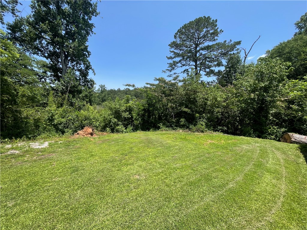 171 River Ridge Road Seneca, SC 29672 - Photo 15 of 22 A verdant lawn provides a natural setting, bordered by mature trees and lush foliage.