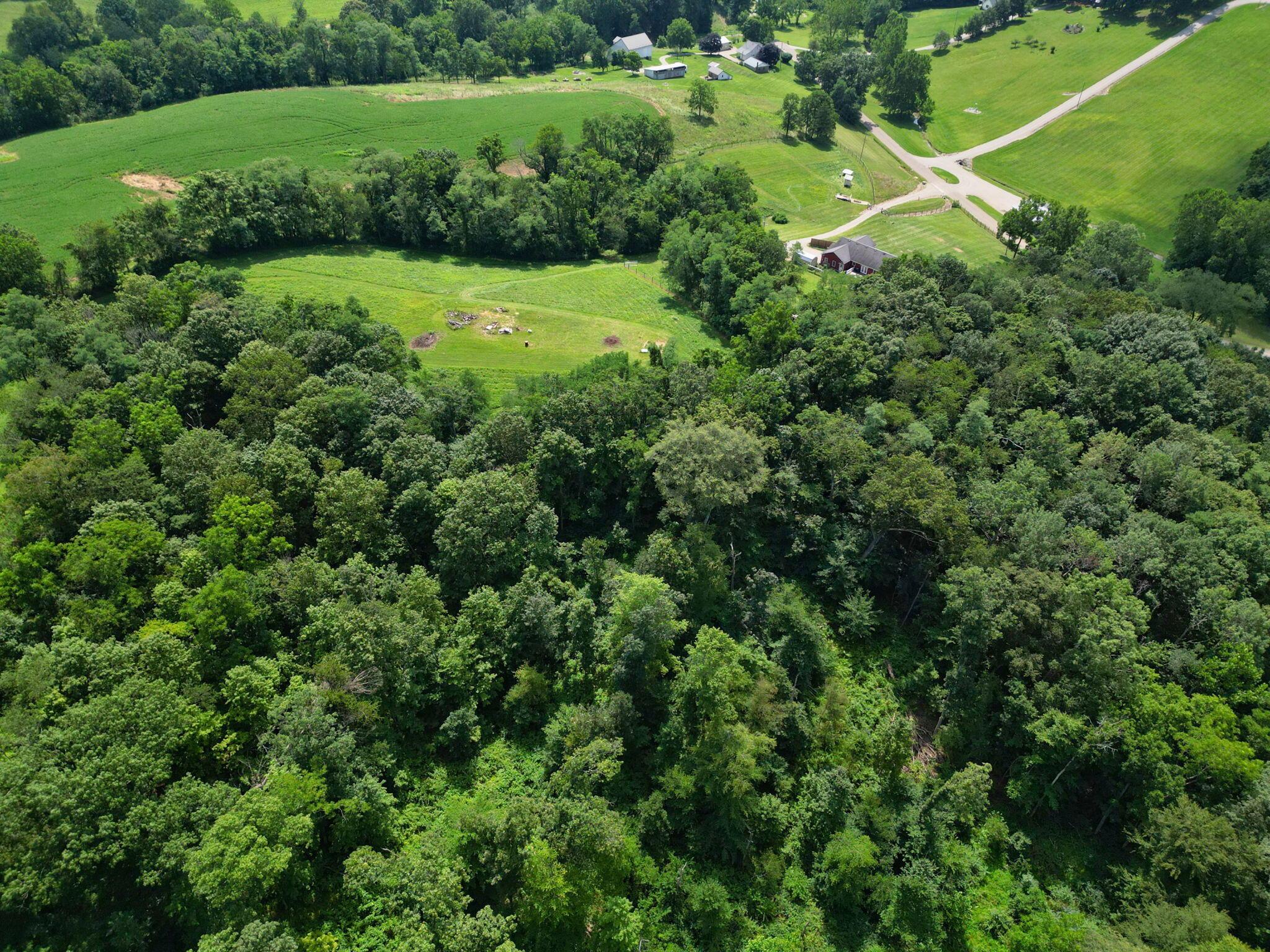 8935 Bagley Road Mount Perry, OH 43760 - Photo 70 of 79 75-web-or-mls-8935-bagley-rd