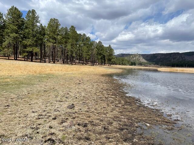 2107 Alpine Az 85920 Alpine, AZ 85920 - Photo 14 of 17