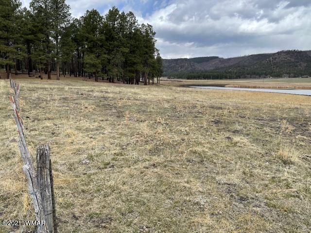 2107 Alpine Az 85920 Alpine, AZ 85920 - Photo 2 of 17