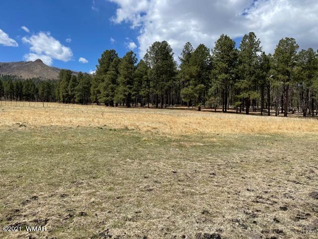 2107 Alpine Az 85920 Alpine, AZ 85920 - Photo 5 of 17