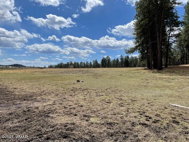 2107 Alpine Az 85920 Alpine, AZ 85920 - Photo 7 of 17
