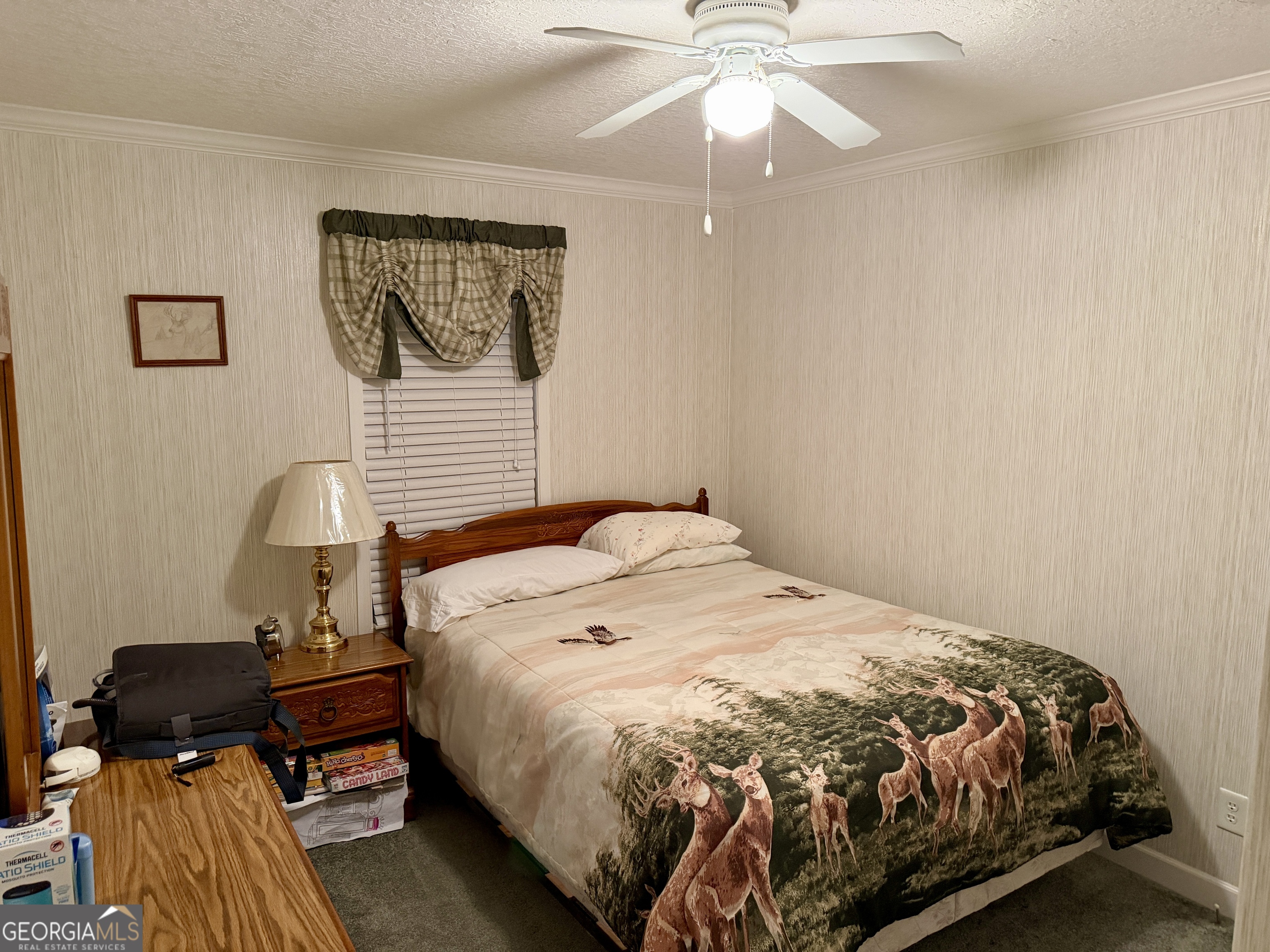 769 Mt Olive Church Road Eastman, GA 31023 - Photo 50 of 68