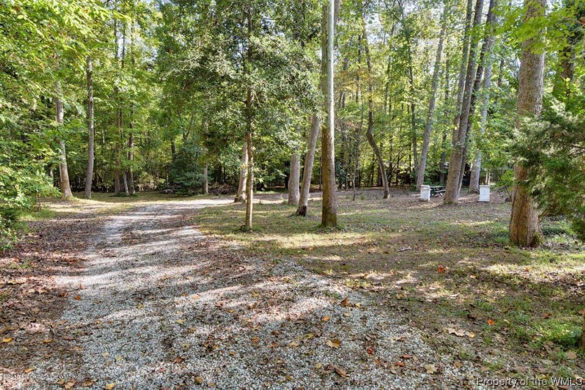 113 Canham Road Williamsburg, VA 23185 - Photo 6 of 58 Gallery Image 6