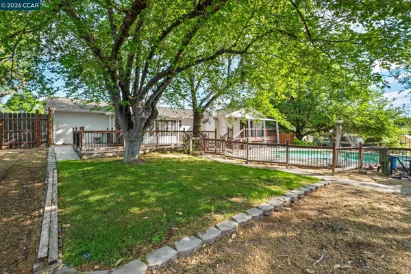 a view of a yard with a large tree