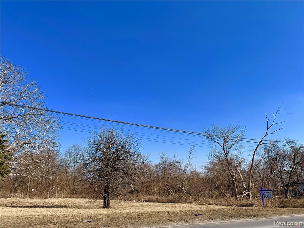 0 Middlebelt Road Romulus, MI 48174 - Photo 6 of 15