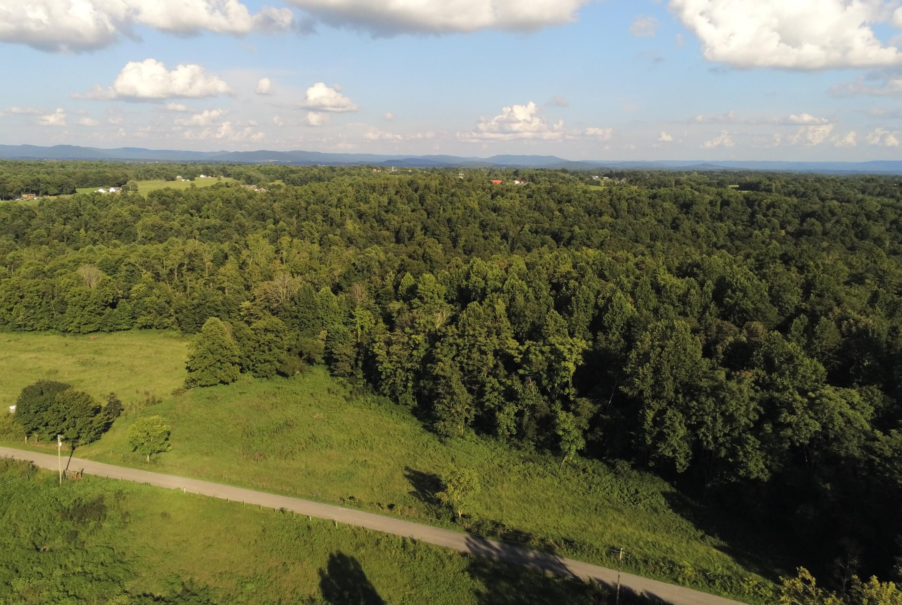 629 Tobin Ridge Road Albany, KY 42602 - Photo 7 of 12 P2290244