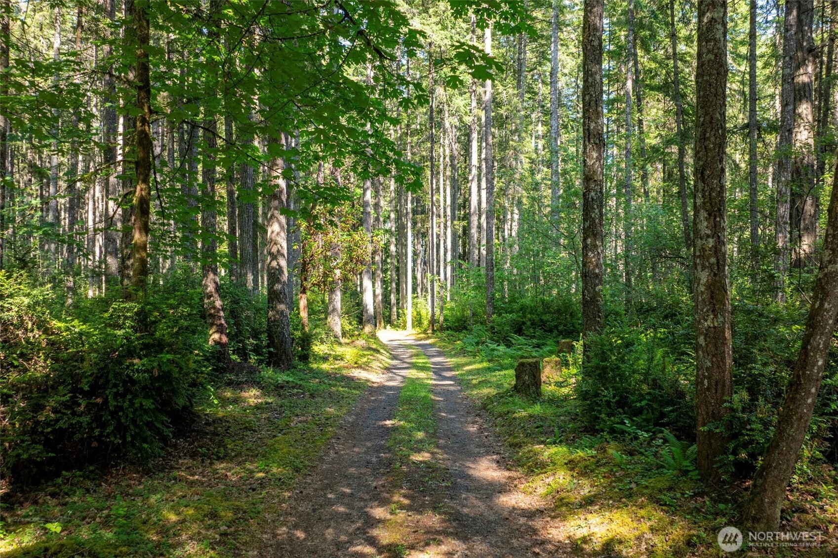 6570 East Grapeview Loop Road Allyn, WA 98524 - Photo 33 of 38 a view of yard