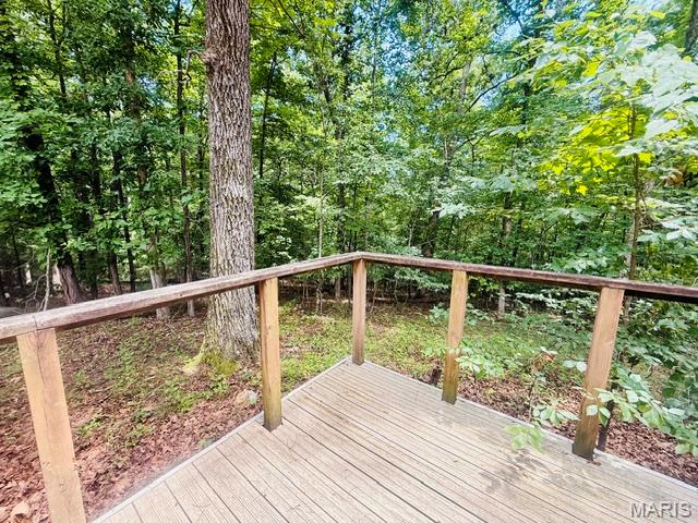 88 Rochester Lane Wappapello, MO 63966 - Photo 3 of 53
