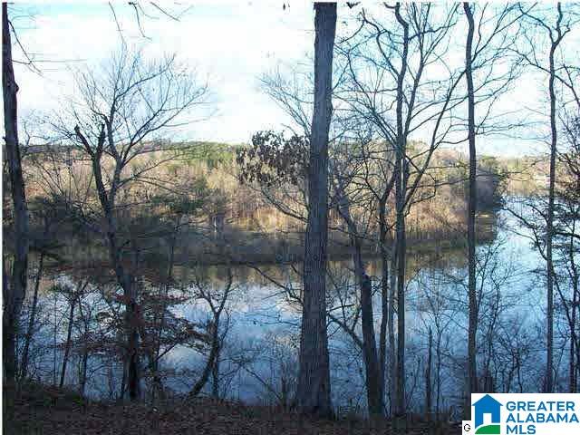 115 River House Road Bessemer, AL 35023 - Photo 5 of 20 Gallery Image 5