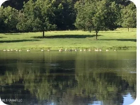 $1,850,000 | 1164 Lower Woodville Road, Natchez, MS 39120