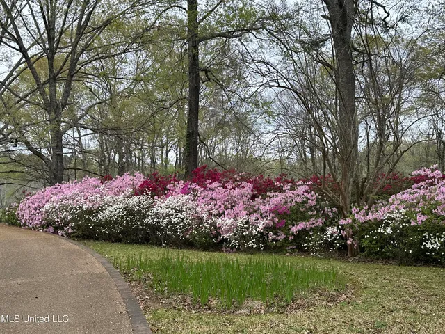 $1,850,000 | 1164 Lower Woodville Road, Natchez, MS 39120