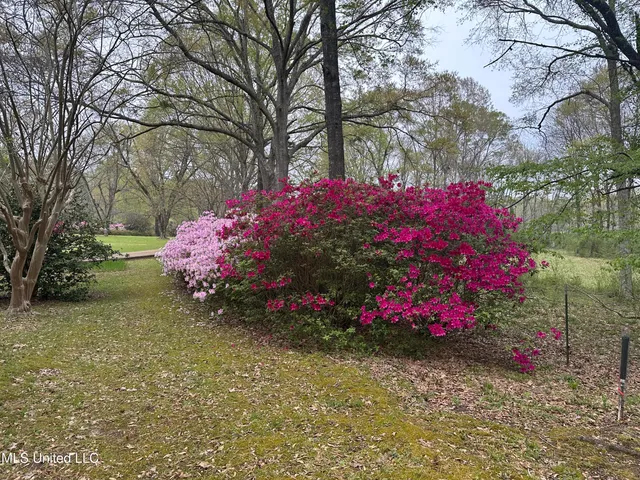 $1,850,000 | 1164 Lower Woodville Road, Natchez, MS 39120