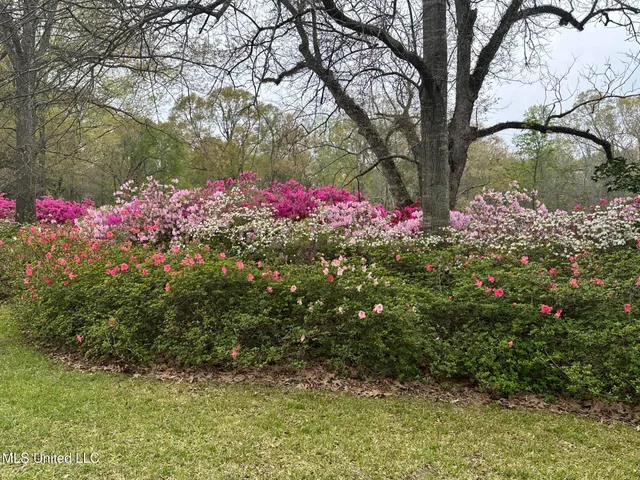 $1,850,000 | 1164 Lower Woodville Road, Natchez, MS 39120