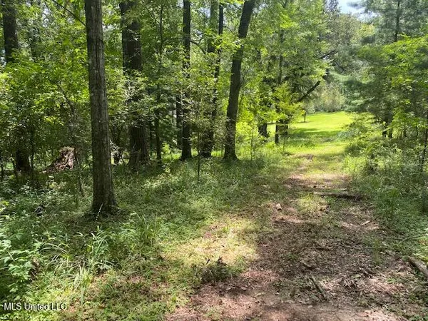 $1,850,000 | 1164 Lower Woodville Road, Natchez, MS 39120