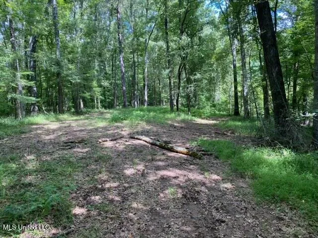 $1,850,000 | 1164 Lower Woodville Road, Natchez, MS 39120