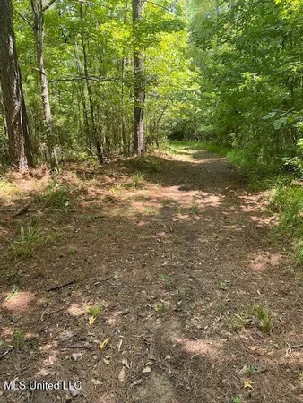 $1,850,000 | 1164 Lower Woodville Road, Natchez, MS 39120