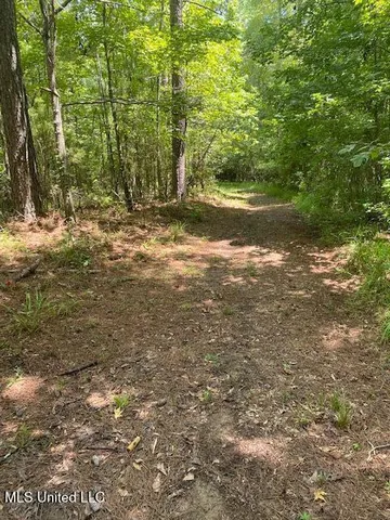 $1,850,000 | 1164 Lower Woodville Road, Natchez, MS 39120