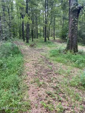 $1,850,000 | 1164 Lower Woodville Road, Natchez, MS 39120