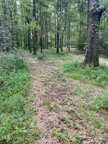 $1,850,000 | 1164 Lower Woodville Road, Natchez, MS 39120