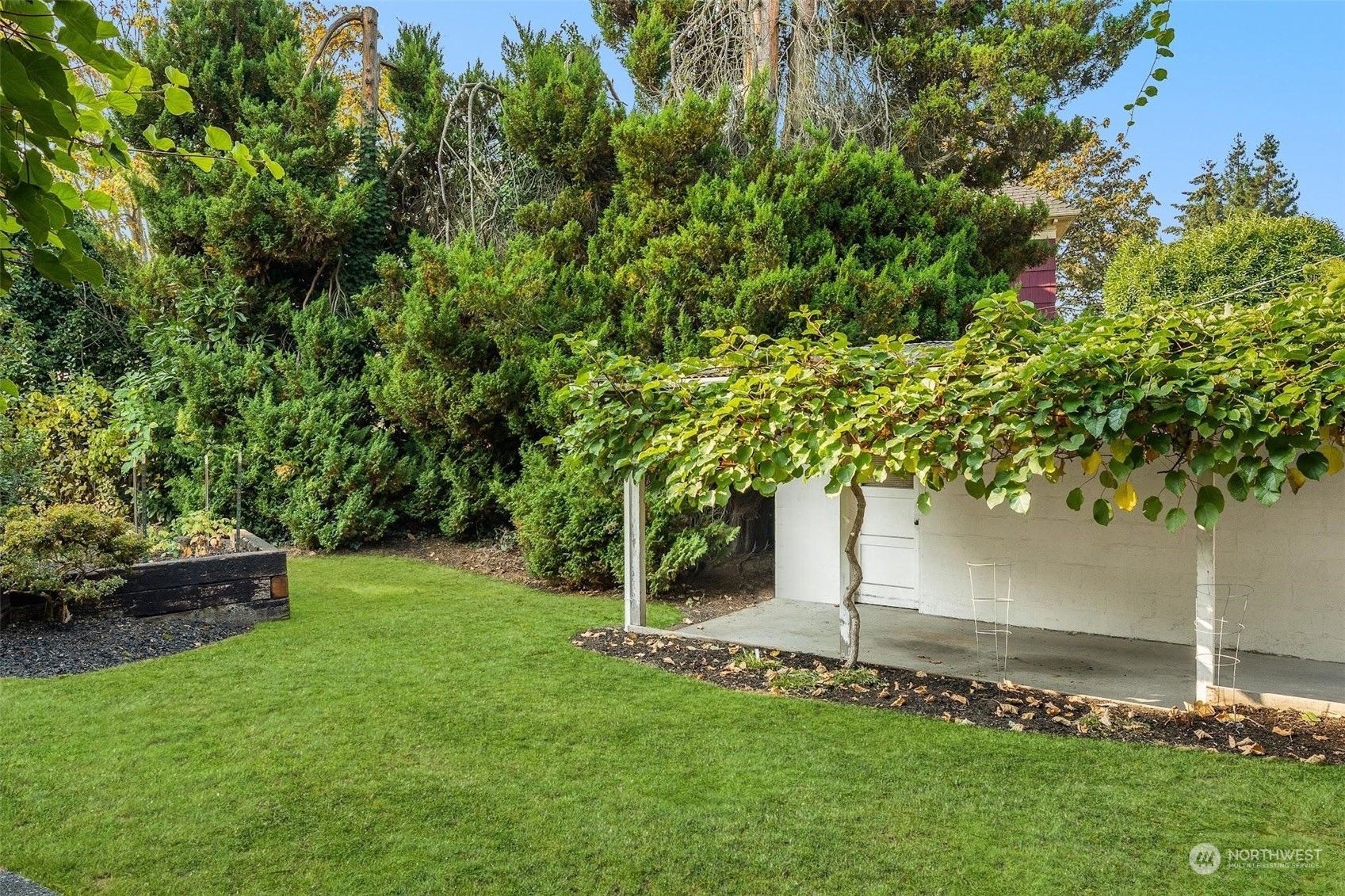 7518 Orin Court North Seattle, WA 98103 - Photo 8 of 40 a garden with trees