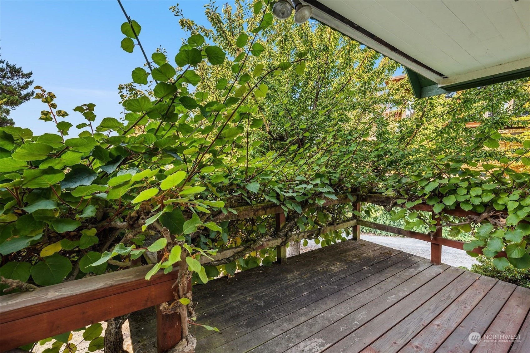 7518 Orin Court North Seattle, WA 98103 - Photo 10 of 40 a view of a garden