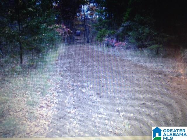 13611 Lay Springs Road Gadsden, AL 35904 - Photo 21 of 34