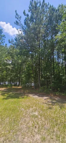 $205,000 | 158 Ella Point, Lumberton, MS 39455