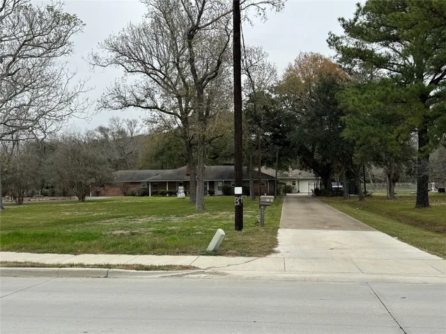 a view of a park with large trees
