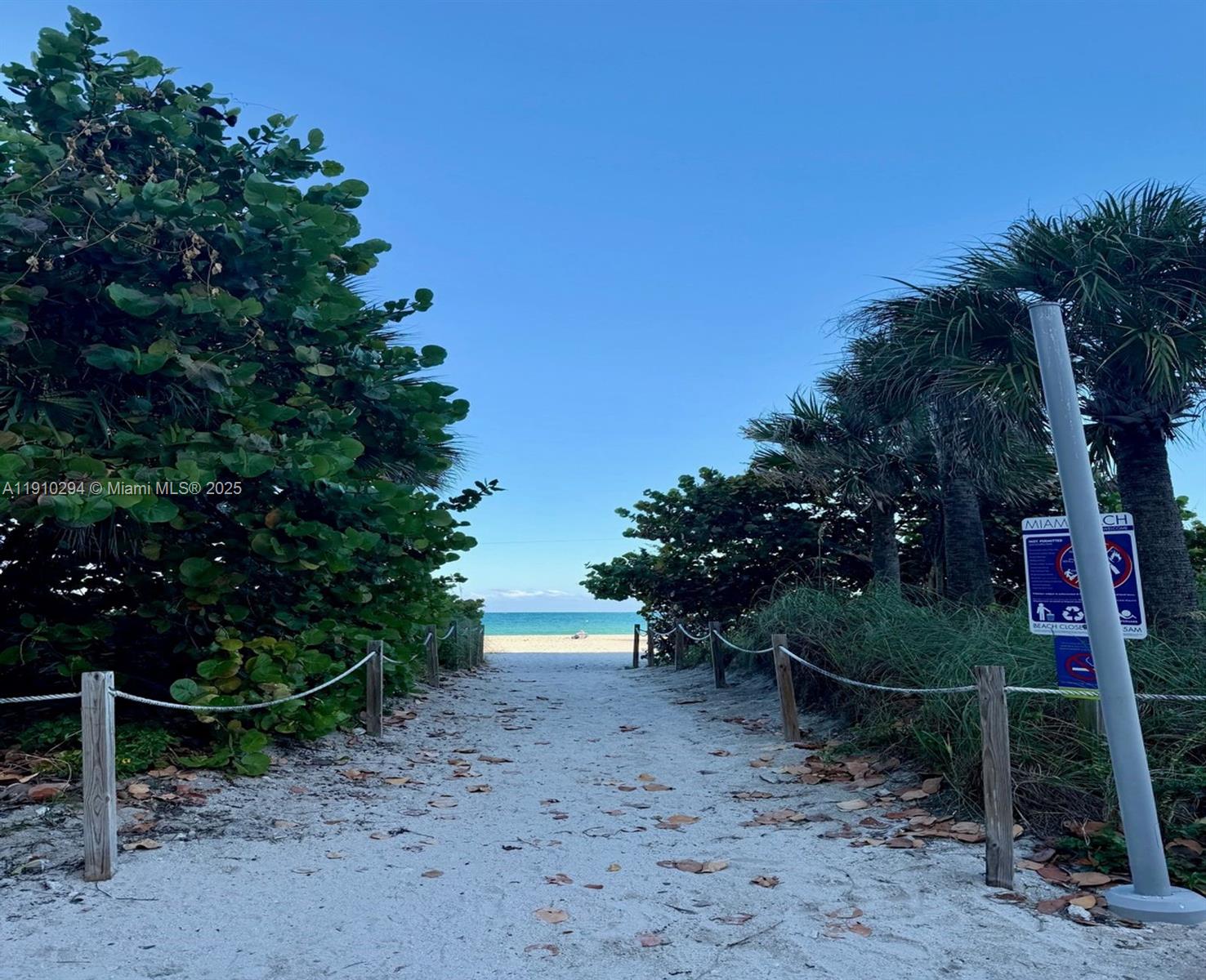 6061 Collins Avenue, Unit 11A Miami Beach, FL 33140 - Photo 28 of 30 a view of a yard with plants and trees