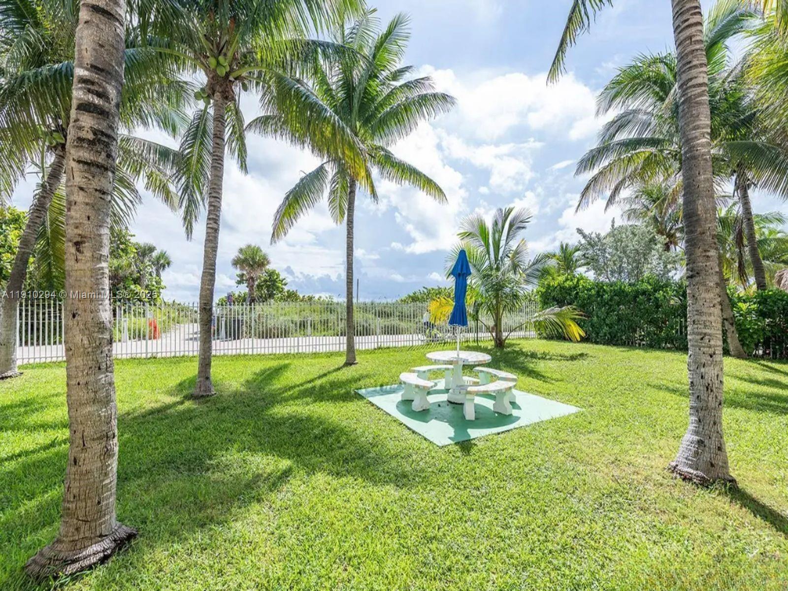 6061 Collins Avenue, Unit 11A Miami Beach, FL 33140 - Photo 3 of 30 a view of a park with palm trees