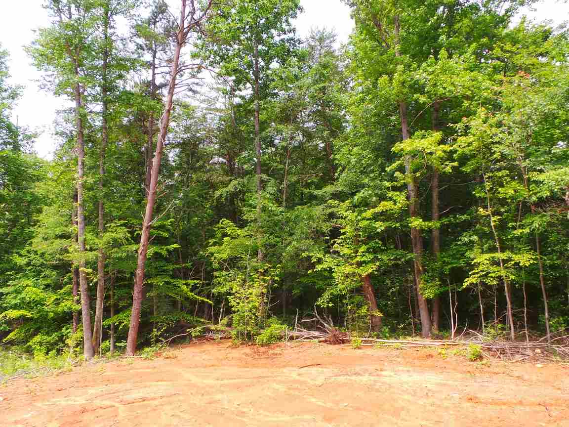 230 Bee's Branch Road Blacksburg, SC 29702 - Photo 20 of 21 Gallery Image 20