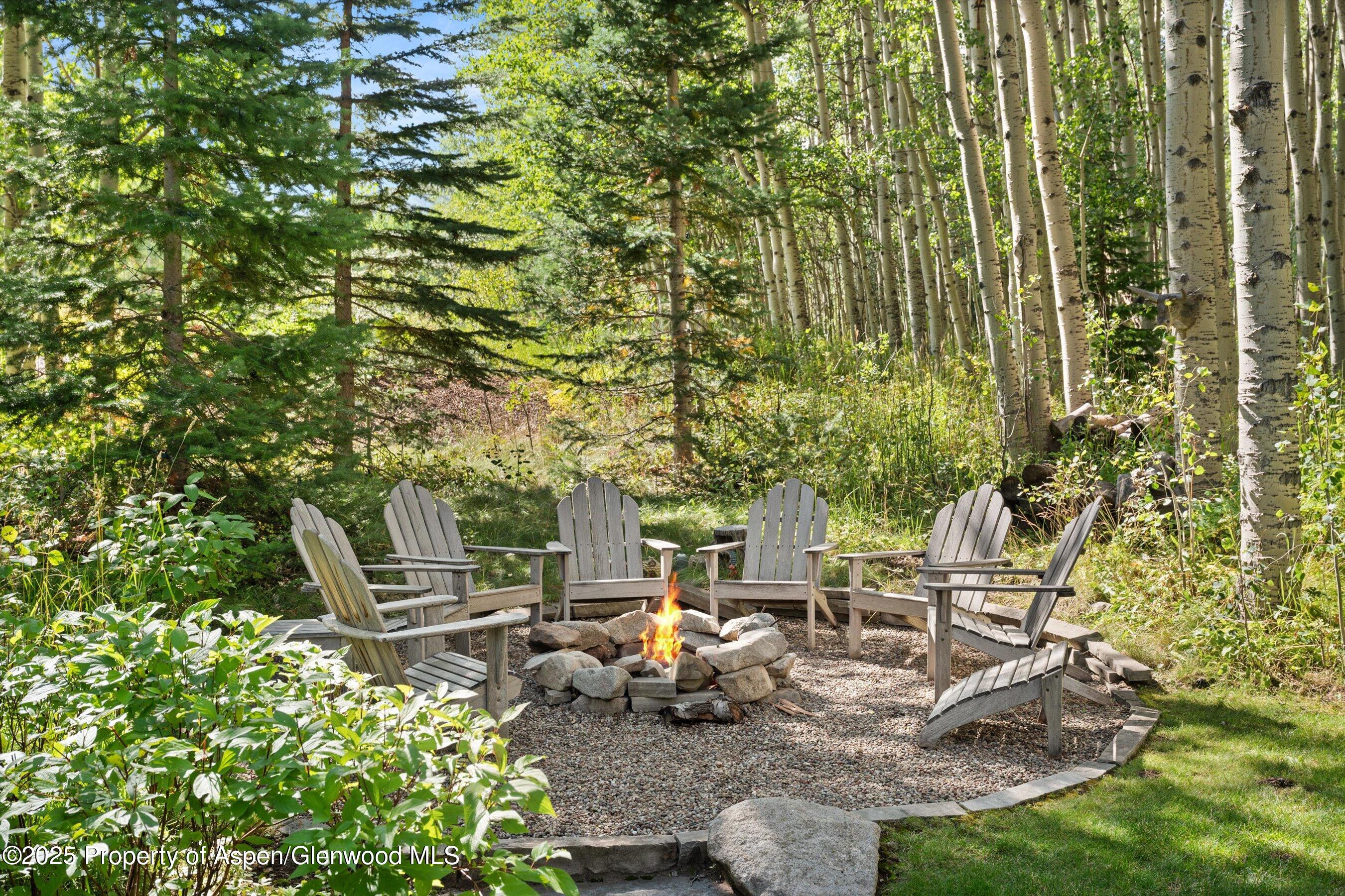 9555 Castle Creek Road Aspen, CO 81612 - Photo 6 of 42 a view of backyard with table and chairs and potted plants