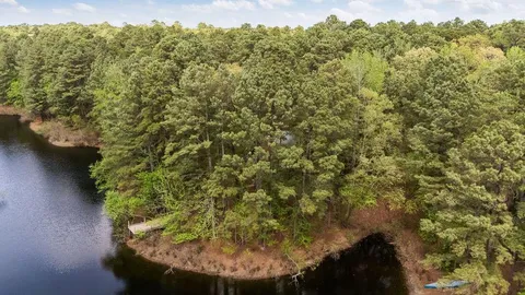 a view of a forest