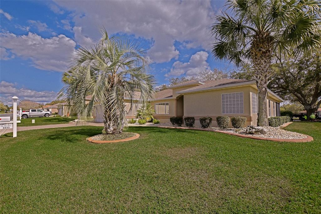 8850 Southeast 140th Place Road Summerfield, FL 34491 - Photo 12 of 98 a view of a house with a backyard and a tree