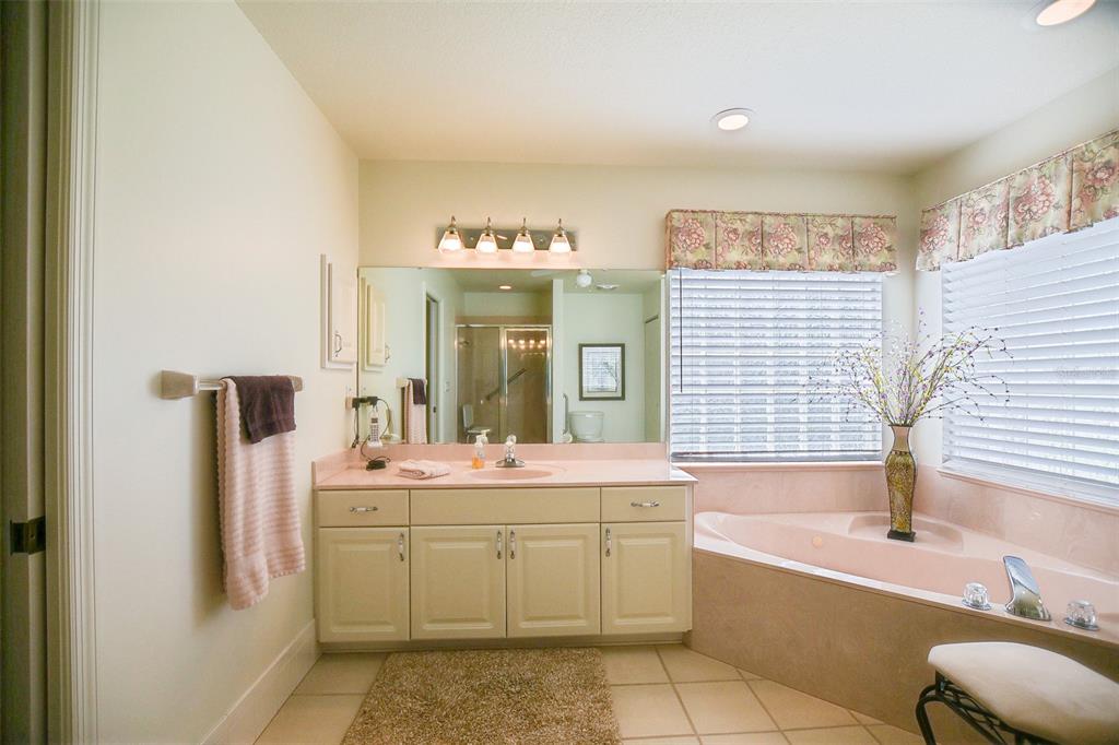 8850 Southeast 140th Place Road Summerfield, FL 34491 - Photo 41 of 98