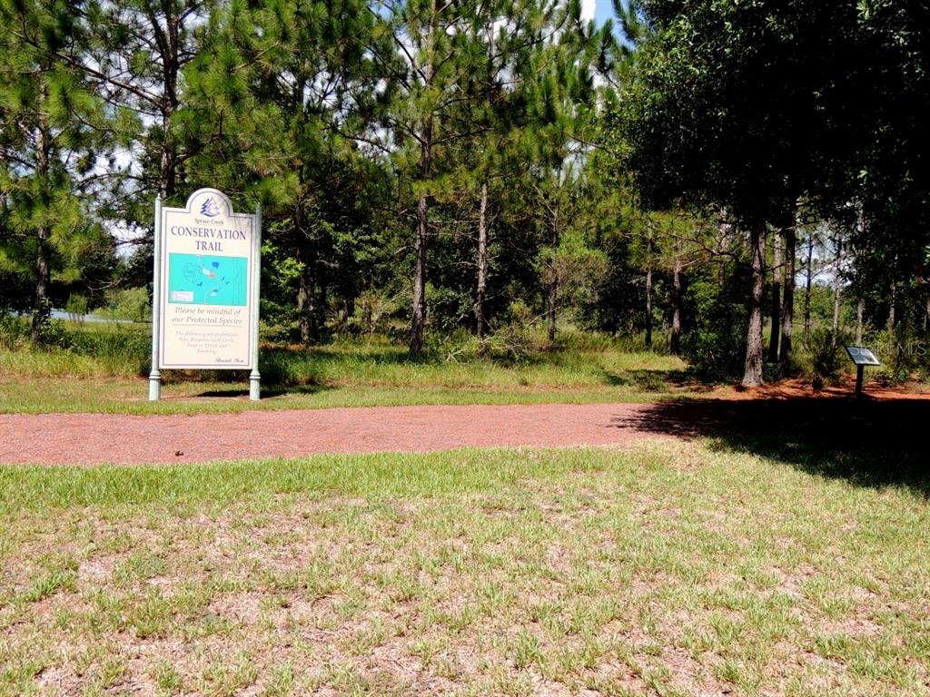 8850 Southeast 140th Place Road Summerfield, FL 34491 - Photo 85 of 98