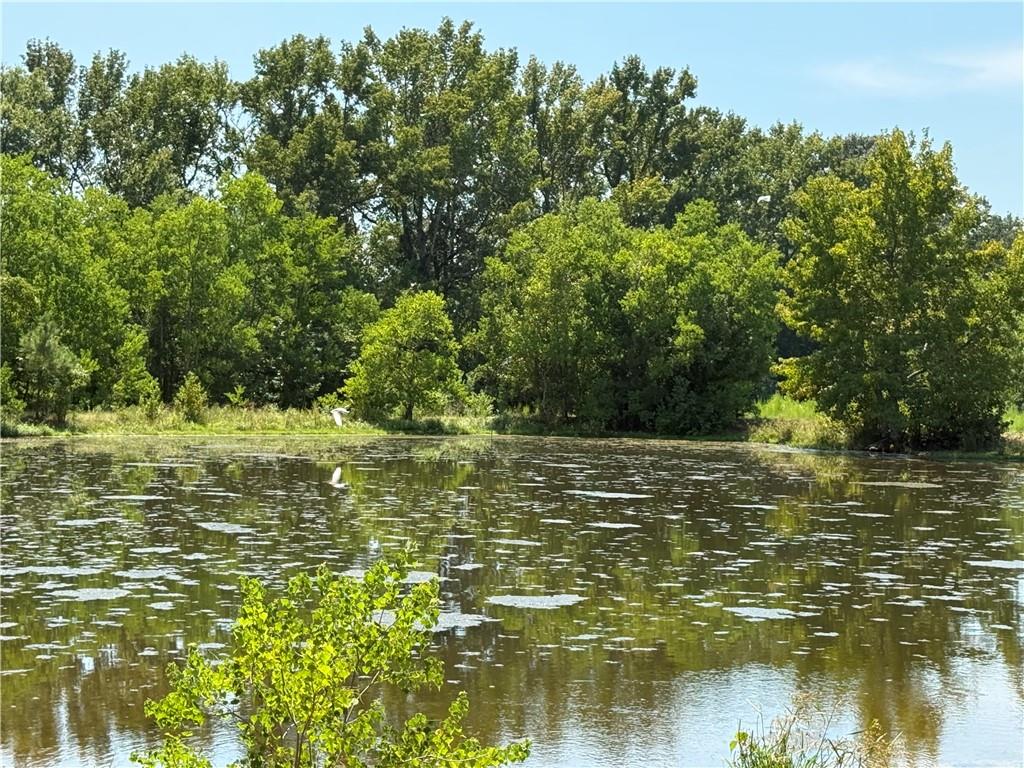 96 Bell Road Deville, LA 71328 - Photo 14 of 20