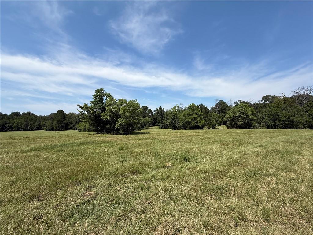 96 Bell Road Deville, LA 71328 - Photo 19 of 20