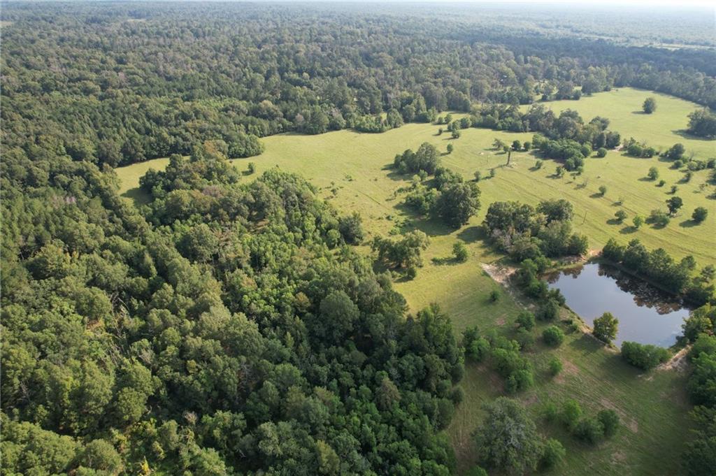 96 Bell Road Deville, LA 71328 - Photo 4 of 20