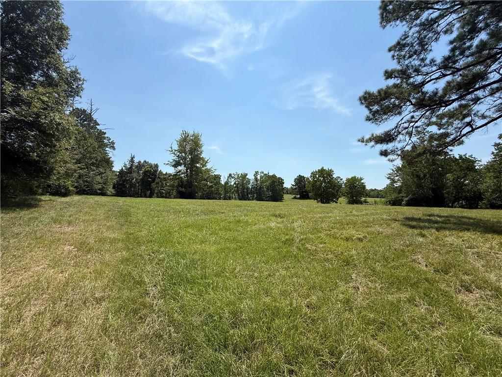 96 Bell Road Deville, LA 71328 - Photo 7 of 20