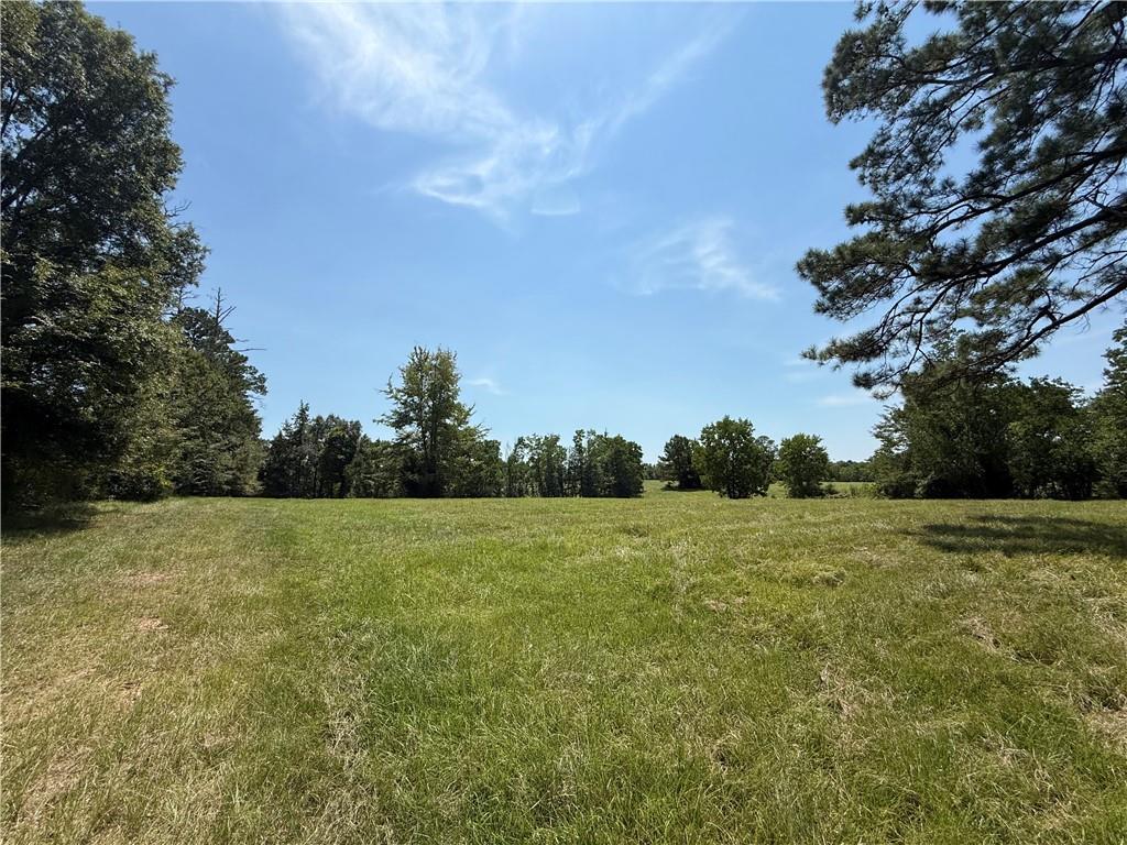 96 Bell Road Deville, LA 71328 - Photo 8 of 20